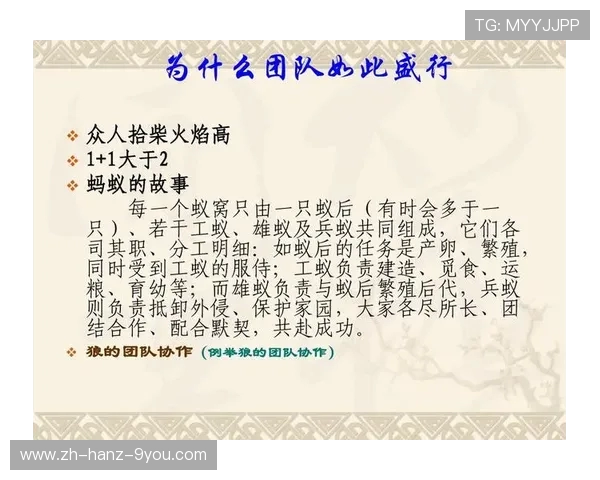 TES在Major赛中的灵活战术运用与团队协作分析